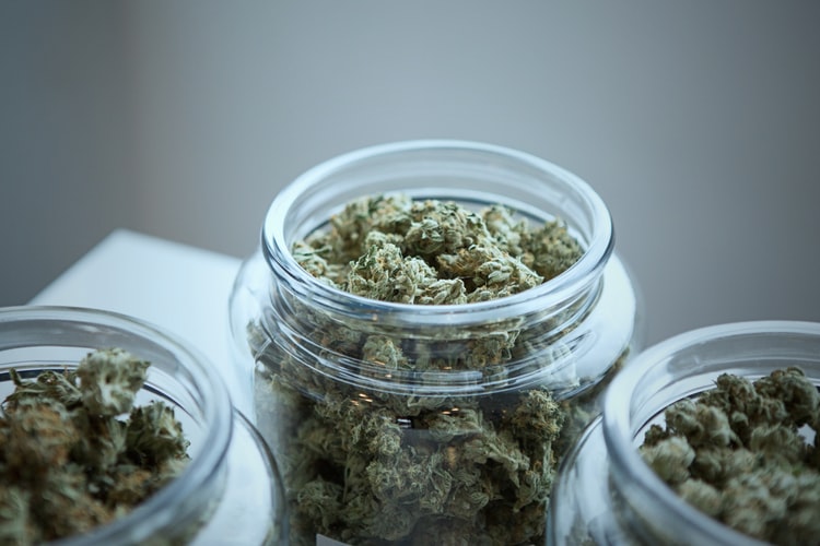 picture of cannabis, medical marijuna